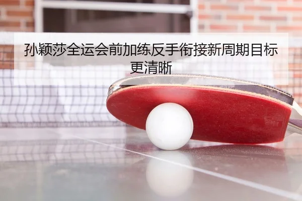 孙颖莎全运会前加练反手衔接新周期目标更清晰
